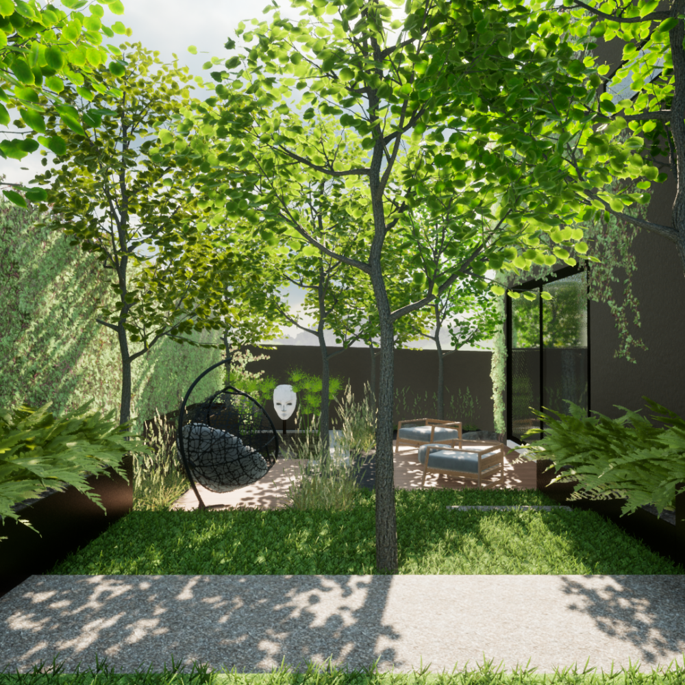 Image11